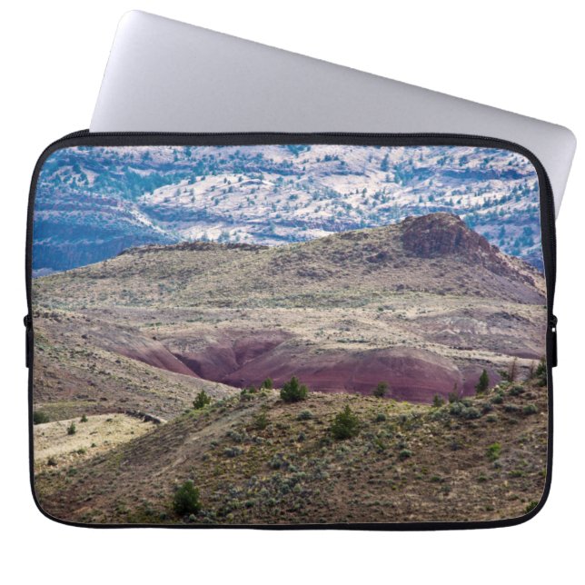 John Day Fossil Beds National Monument, Oregon Laptopschutzhülle (Vorderseite)