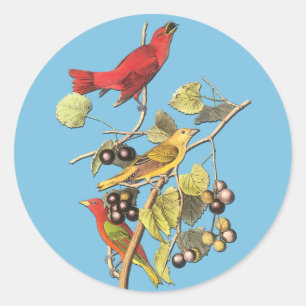John J Audubon Stickers d'été Tanager Oiseau Art
