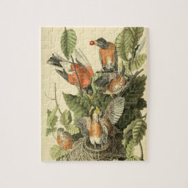 John James Audubon American Robin Painting Gift