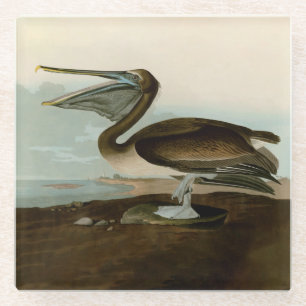 John James Audubon Brauner Pelikan Kunstwerk Maler Glasuntersetzer