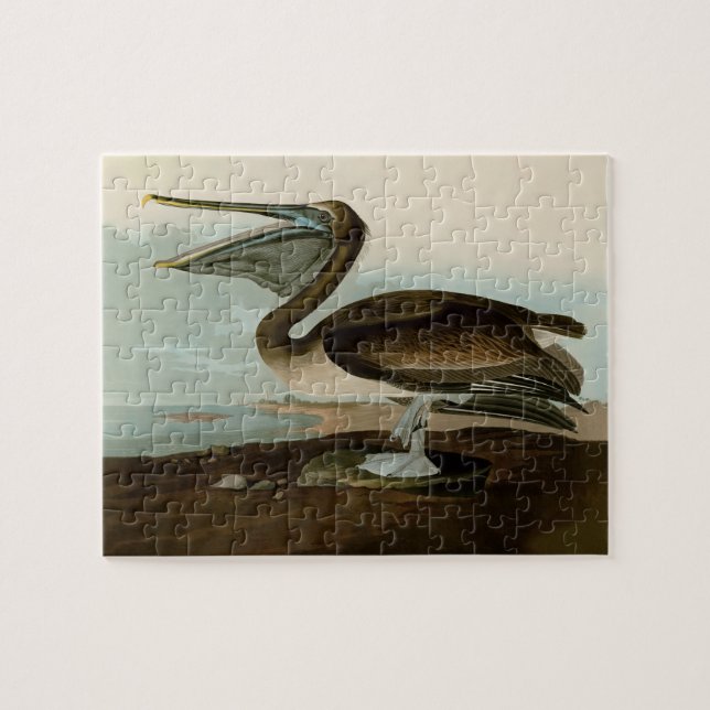John James Audubon Brown Pelican Artwork Painting (Horizontal)