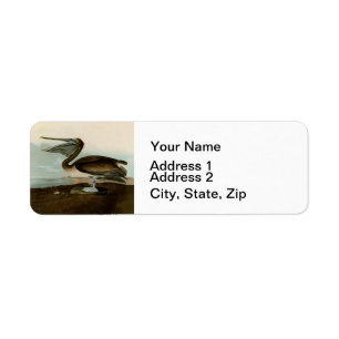 John James Audubon Brown Pelican Artwork Painting