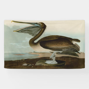 John James Audubon Brown Pelican Artwork Painting Banner