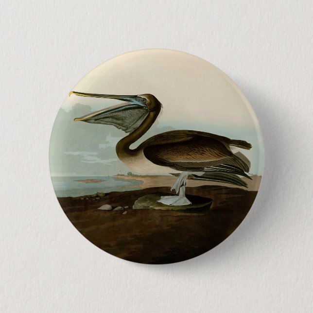 John James Audubon Brown Pelican Artwork Painting Button (Vorderseite)