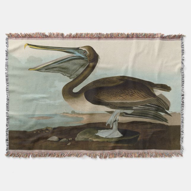 John James Audubon Brown Pelican Artwork Painting Decke (Vorderseite)