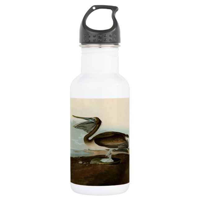 John James Audubon Brown Pelican Artwork Painting Edelstahlflasche (Vorderseite)