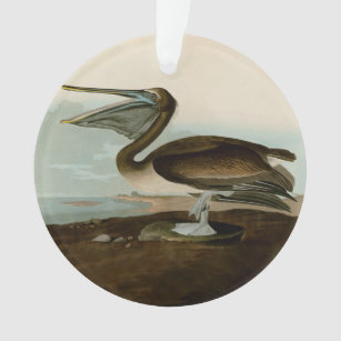 John James Audubon Brown Pelican Artwork Painting Ornament
