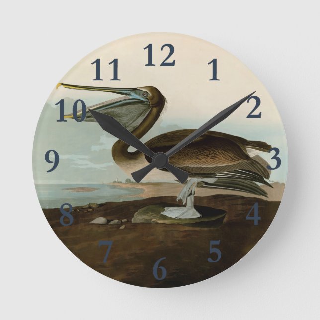 John James Audubon Brown Pelican Artwork Painting Runde Wanduhr (Vorderseite)
