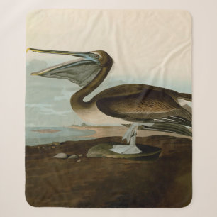 John James Audubon Brown Pelican Artwork Painting Sherpadecke