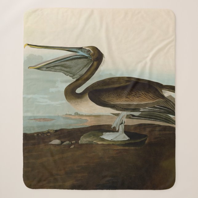 John James Audubon Brown Pelican Artwork Painting Sherpadecke (Vorderseite)