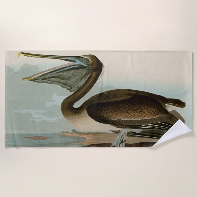 John James Audubon Brown Pelican Artwork Painting Strandtuch (Vorderseite)