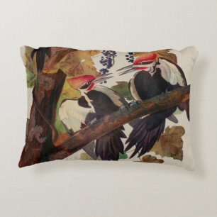 John James Audubon Buntspecht Vogel Druck Dekokissen