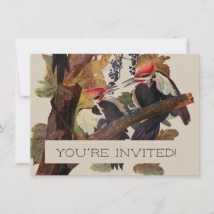 John James Audubon Buntspecht Vogel Druck Einladung