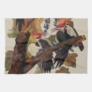 John James Audubon Buntspecht Vogel Druck Geschirrtuch