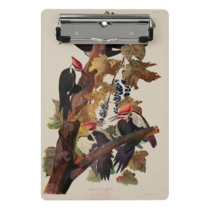 John James Audubon Buntspecht Vogel Druck Mini Klemmbrett