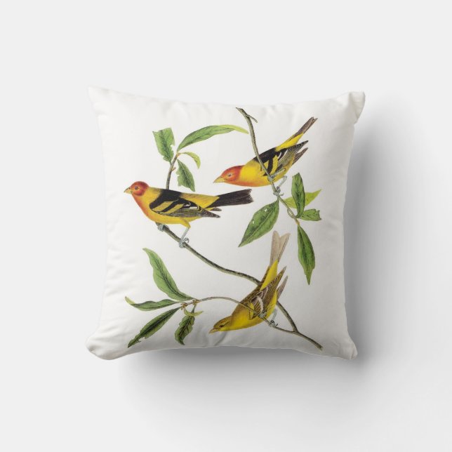 John James Audubon gelbes Tanager-Kissen Kissen (Vorderseite)