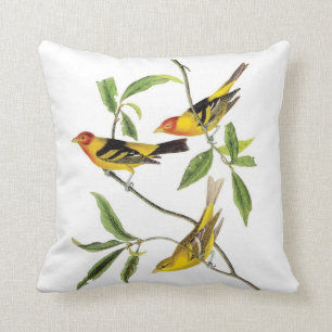 John James Audubon gelbes Tanager-Kissen Kissen