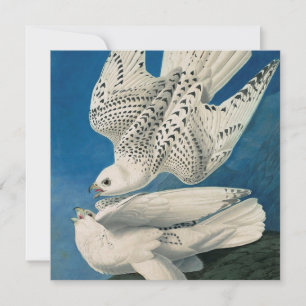 John James Audubon - Gyrfalcon Feiertagskarte