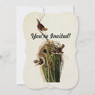 John James Audubon Sumpfzaunkönig-Vogel-Druck Einladung