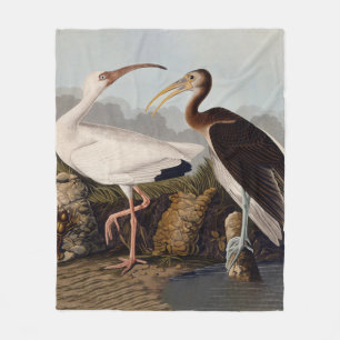 John James Audubon Weißer Ibis Vogel Druck Klassik Fleecedecke