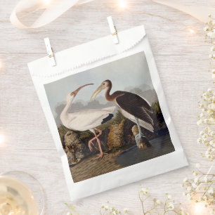 John James Audubon Weißer Ibis Vogel Druck Klassik Geschenktütchen