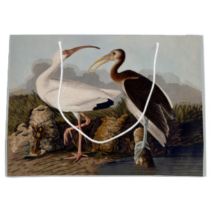 John James Audubon Weißer Ibis Vogel Druck Klassik Große Geschenktüte