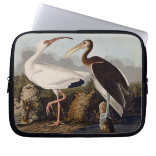 John James Audubon Weißer Ibis Vogel Druck Klassik Laptopschutzhülle