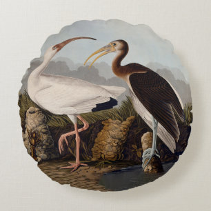 John James Audubon Weißer Ibis Vogel Druck Klassik Rundes Kissen