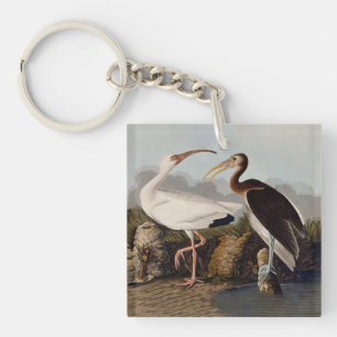 John James Audubon Weißer Ibis Vogel Druck Klassik Schlüsselanhänger