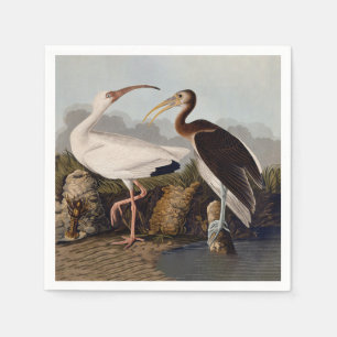 John James Audubon Weißer Ibis Vogel Druck Klassik Serviette