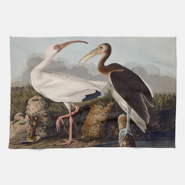 John James Audubon White Ibis Bird Print Classic Geschirrtuch (Horizontal)