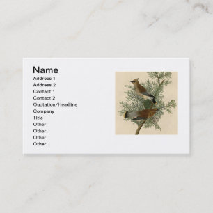 John James Audubon Zedernseidenschwanz-Vogel Druck Visitenkarte