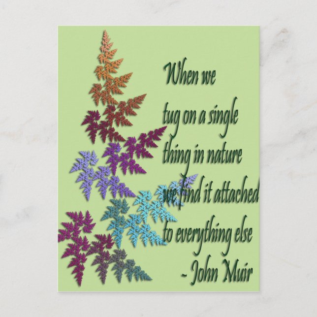 john muir - carte postale (Devant)
