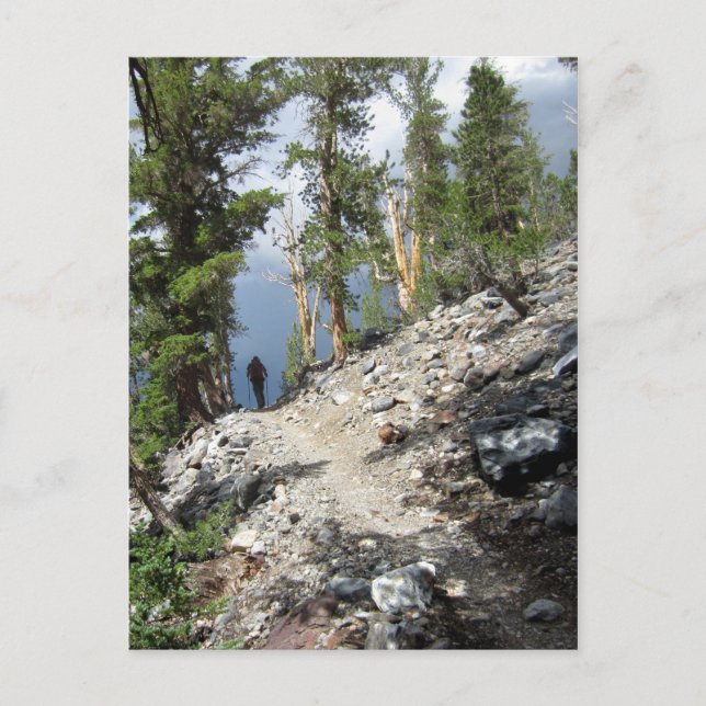 John Muir Trail Hiker - Sierra Nevada Postkarte (Vorderseite)