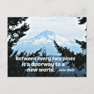 John Muir: "Zwischen zwei Kiefern ist eine Tür" Postkarte