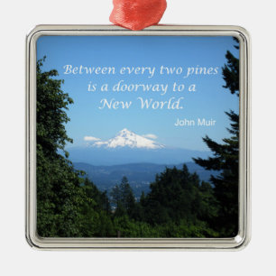 John Muir: "Zwischen zwei Kiefern ist eine Tür" Silbernes Ornament