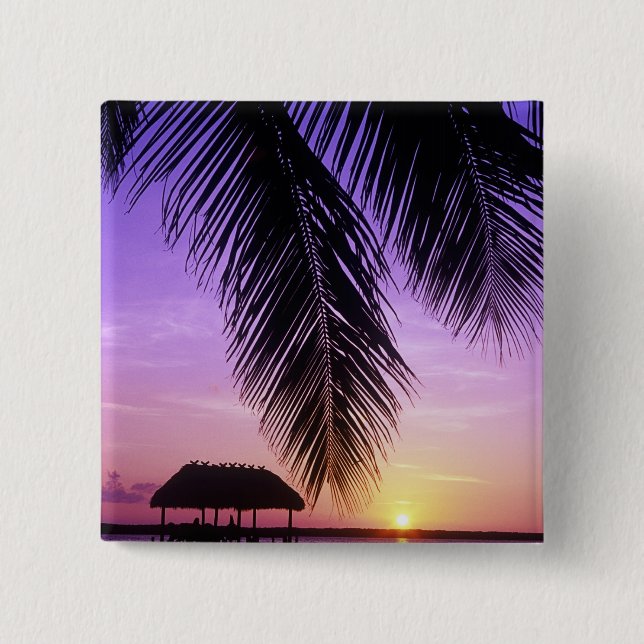 John Pennekamp Staat Park, Florida Keys, Key Button (Vorderseite)