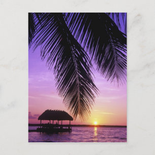 John Pennekamp Staat Park, Florida Keys, Key Postkarte