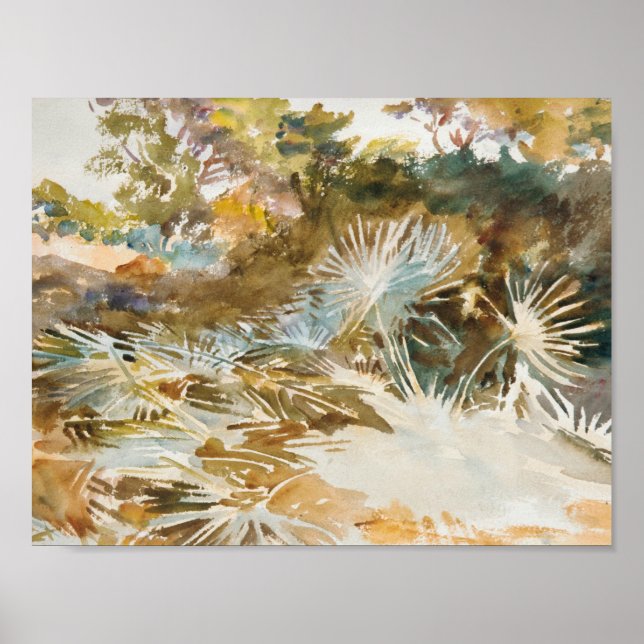 John Singer Sargent - Landschaft mit Palmettos Poster (Vorne)