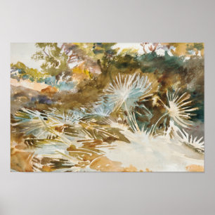 John Singer Sargent - Landschaft mit Palmettos Poster