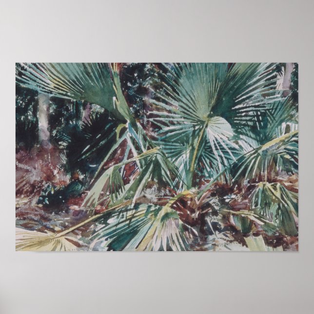 John Singer Sargent - Palmettos Poster (Vorne)