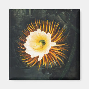 John Thornton The Night-Blaswing Cereus Botanical Magnet