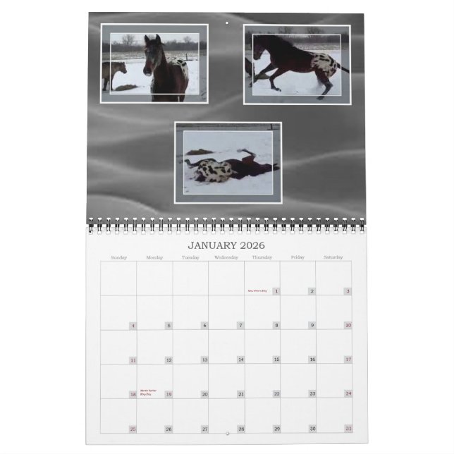 JOHN- UND MARIE-CRAIG FAMILIEAPPALOOSAS KALENDER (Jan 2026)