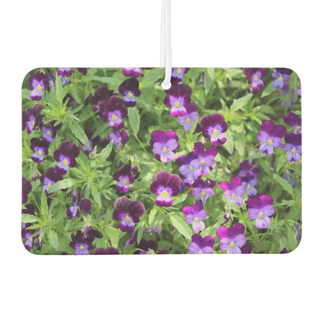 Johnny Pop Ups Autolufterfrischer (Vorderseite)