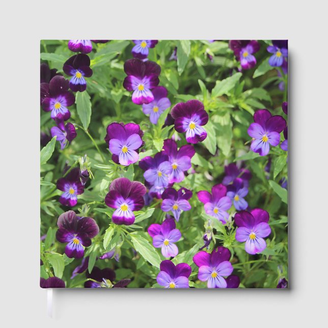 Johnny Pop Ups Gästebuch (Vorderseite)