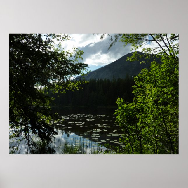 Johns Lake I im Glacier National Park Poster (Vorne)