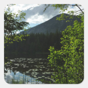 Johns Lake I im Glacier-Nationalpark Quadratischer Aufkleber
