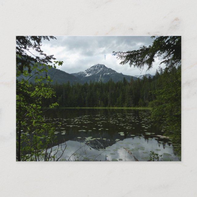 Johns Lake II am Glacier National Park Postkarte (Vorderseite)