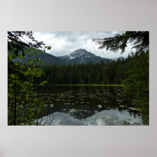 Johns Lake II im Glacier-Nationalpark Poster