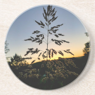 Johnson Grass Getränkeuntersetzer